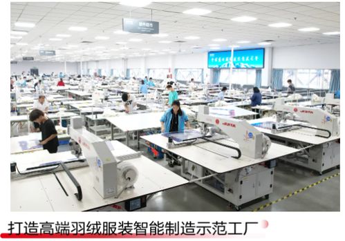 穿 爾濱 品牌逛爾濱 波司登 哈爾濱 產業(yè)基地啟動